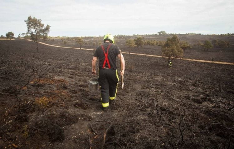 Firefighters tend to gorse land at the Woodbury Common near Exeter, Devon. Acres of the land has been destroyed after a major fire. 24/04/2017  See SWNS story SWFIRE; Dramatic footage shows a huge gorse fire that raged out of control for eight hours - injuring FIVE firefighters. A huge swathe of the countryside has now been blackened following the blaze at Woodbury Common. which spread across 100 acres of heathland and could be seen for miles. More than 100 firefighters battled the fire which broke out at 2pm on Sunday. One had burns to his face and needed hospital treatment while four others suffered from smoke inhalation. Guests from the local Woodbury Park Hotel had to be evacuated as an area of 1.5 square miles was completely destroyed.