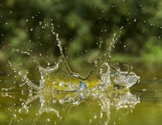 This truly amazing set of pictures shows the iconic kingfisher's dive for food in a Suffolk river. See National story NNKINGFISH; It is the result of hundreds of attempts by wildlife snapper Vince Burton to capture what to the naked eye is a flash of blue and orange followed by a splash. Vince, 40, has spent thousands of hours observing kingfishers in the wild attempting to photograph the entire dive sequence. And after years of trying, he has managed the perfect shoot. Vince, from Norfolk, said: "Kingfishers are one of my favourite subjects to photograph. I shall never grow tired of watching these birds.