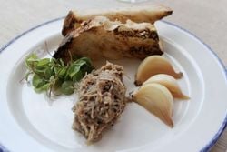 The Habit Duck Rillettes