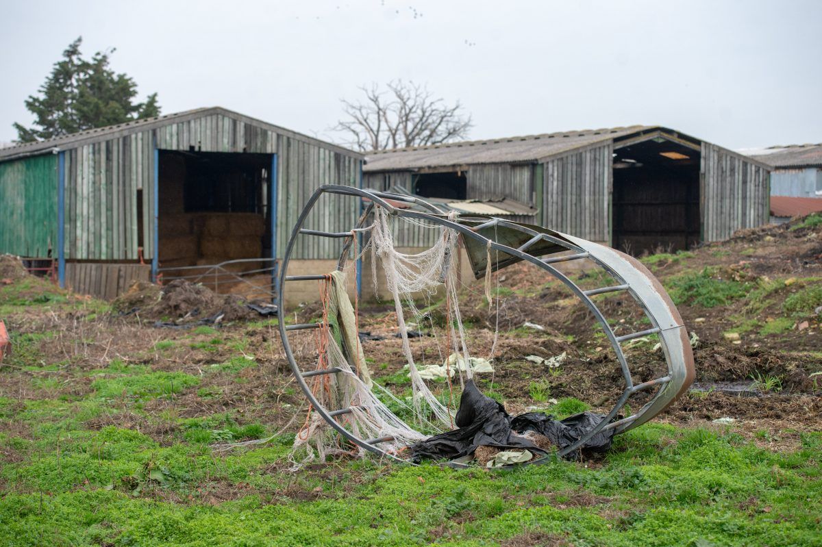 RSPCA took over 200 animals from horror farm days before fire torched it