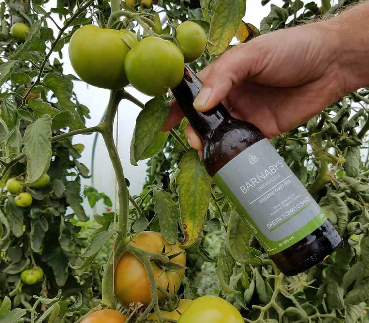 Barnaby's Brewhouse Green Tomato Saison