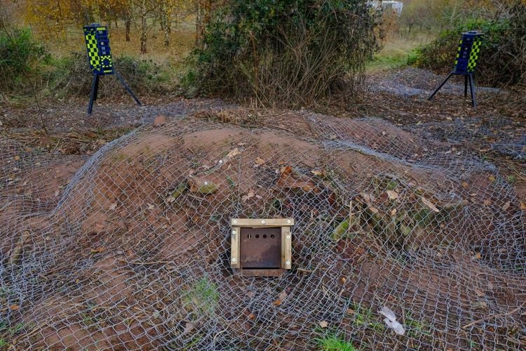 The badger sett covered with netting: Credit;SWNS