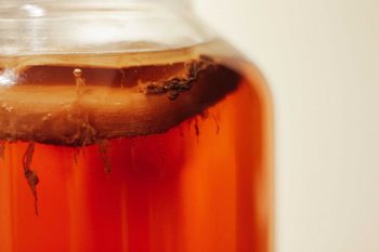 Kombucha recipe SCOBY Photo by Tim-Oliver Metz on Unsplash