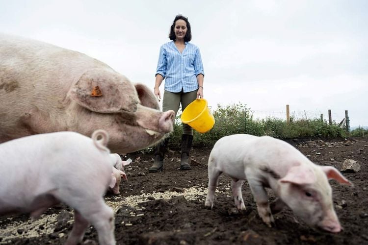 Catherine Withers whose family work on the farm. Credit;SWNS