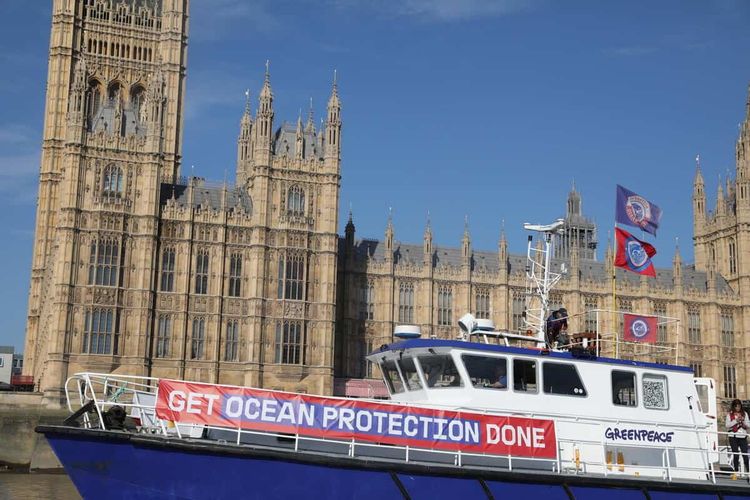 Fishermen and Greenpeace activists