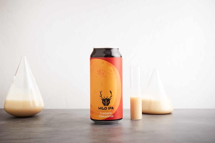 The Wild Beer Co. Wild IPA