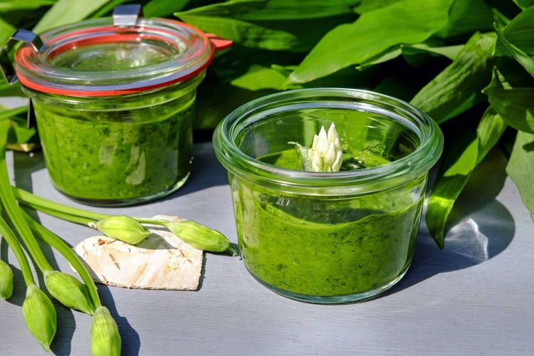 Wild Garlic Pesto