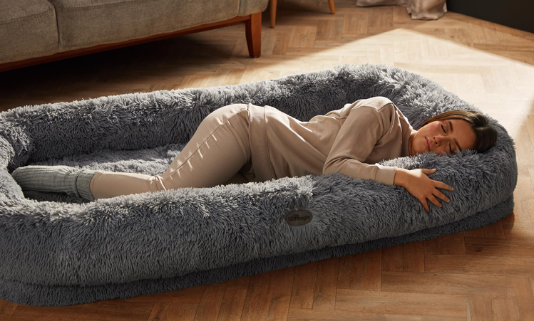 lidl launches human pet bed