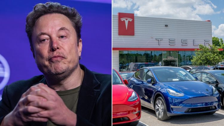 Tesla suffers 'thumping fall' in sales across Europe