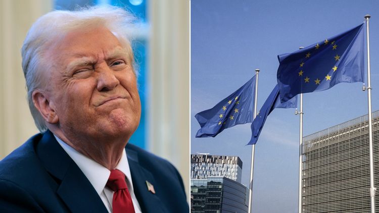 Donald Trump says EU was ‘formed to screw the US’ as he threatens 25% tariffs on Europe