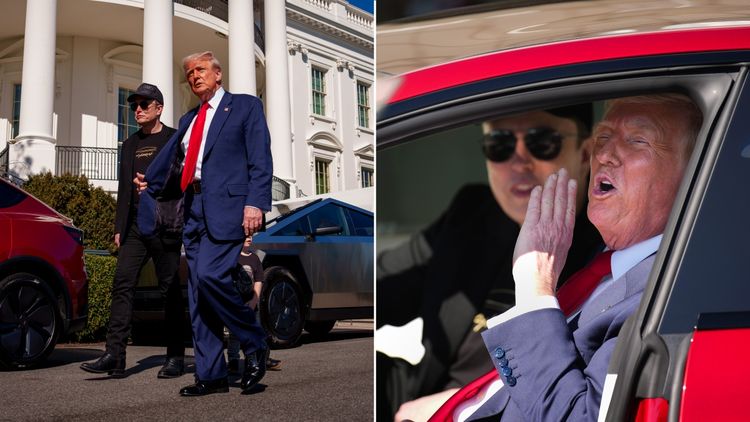 Trump turns White House into Tesla parking lot in show of support for Musk