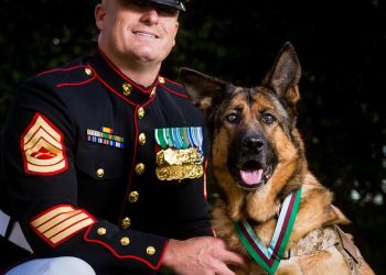 Retired US Marine Corps dog Lucca receives the PDSA Dickin Medal for gallantry  during her six year career, with her owner Gunnery Sergeant Christopher Willingham at the Wellington Barracks, London on the 05/04/2016. Photo: David Tett