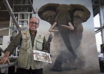 Wildlife artist Jonathan Truss, with his almost competed life sized painting of a Tusker Elephant entitled 'Tusker's Last Stand' . See SWNS story SWJUMBO; This is the world's biggest painting of an elephant - designed to make a jumbo-size impact for conservation. The magnificent life-size 'big tusker' has so far taken artist Jonathan Truss three weeks - during which an estimated 2,500 elephants have been killed for their ivory. His elephant appears to be charging from the 15' x 12' canvas in the stunning 3D-like work. Jonathan, 55, whose paintings sell for thousands, set himself the huge challenge to raise money and awareness for wildlife charities. He hopes the finished work will fetch six figures when it is auctioned at Christmas, with the money going to conservation causes.