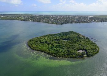 This 26 acre tree-covered private island with marina and beach has been put on the market for £75 MILLION. See SWNS story SWISLAND; Pumpkin Key is an "extraordinary" retreat which boasts a three-bedroom main home, two caretaker's cottages and a dock master's apartment. It also has a 20-slip marina which is large enough to accommodate a megayacht. The island, which is a ten-minute helicopter ride from Miami's famous South Beach, has panoramic views of Card Sound Bay and spectacular sunsets.