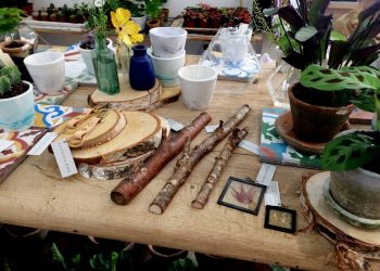 A florist situated next to a park has come under fire for selling sticks - for a massive £18.  See NATIONAL story NNSTICK.  Botanique in trendy Stoke Newington, east London, has around eight pieces of wood around a foot long for customers to hang on their walls.  The wall hangings range from £12 to £18 with various shapes and sizes, with some including notches to hang clothes from.  Most are made from birch or holly and are planed and sanded at the back with holes drilled through so they can be attacked to a wall.  BBC presenter Jeremy Vine brought the sticks to the attention of social media when he tweeted a pictures to his 600,000 followers.  Shop keeper and owner, Alice Howard, said the wall hangings were worth the price tag as they needed to be sourced and hand crafted.