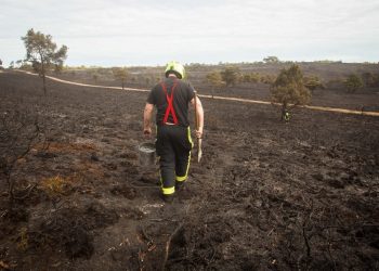 Firefighters tend to gorse land at the Woodbury Common near Exeter, Devon. Acres of the land has been destroyed after a major fire. 24/04/2017  See SWNS story SWFIRE; Dramatic footage shows a huge gorse fire that raged out of control for eight hours - injuring FIVE firefighters. A huge swathe of the countryside has now been blackened following the blaze at Woodbury Common. which spread across 100 acres of heathland and could be seen for miles. More than 100 firefighters battled the fire which broke out at 2pm on Sunday. One had burns to his face and needed hospital treatment while four others suffered from smoke inhalation. Guests from the local Woodbury Park Hotel had to be evacuated as an area of 1.5 square miles was completely destroyed.