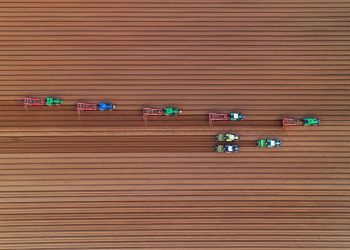 Farmers planting potatoes in a field in East Winch, Norfolk by Chris Taylor. See Masons copy MNPOTATO: This mesmerising image looks like toy tractors playing on a fabric field - but is actually a team of farmers hard at work. Photographer Chris Taylor, 47, spotted the workers in a field in East Winch, Norfolk, on Tuesday while taking aerial snaps from the sky with his drone. As they planted potatoes, they etched perfectly straight lines in the soil which looked flawless from the air. Commenting on the eye-catching effect, Chris said: "Looks like tiny tractors making corduroy!"