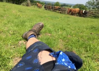 A taxi driver has described how he almost died after being trampled by an angry herd of rampaging cows as he was out walking his dog. Adam Delves, 38, was left badly injured after he was repeatedly stamped on and tossed into the air by the stampeding animals on a public pathway.