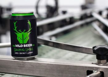 Wild Beer Co Sleeping Limes