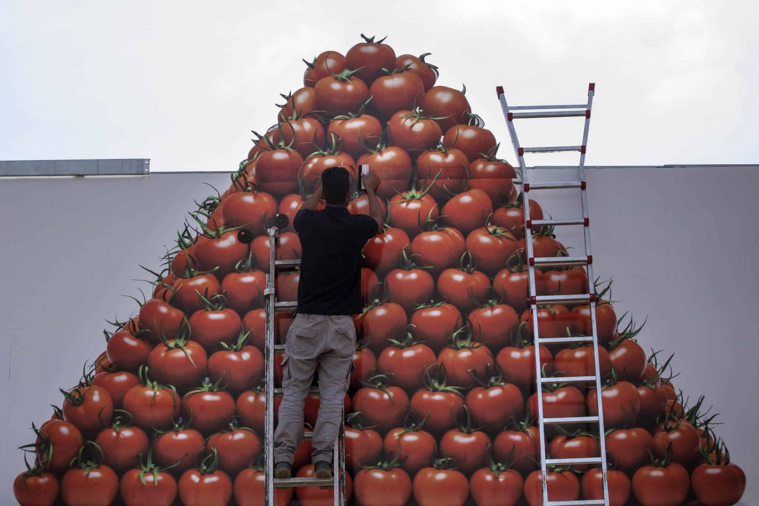 Experts believe pill containing compound that makes tomatoes red can double healthy sperm count