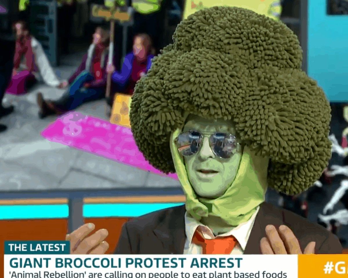 ‘Mr Broccoli’ protester accused of being ‘a plant’ for meat industry on ...