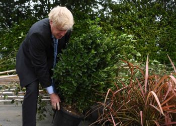Boris Johnson plants tree