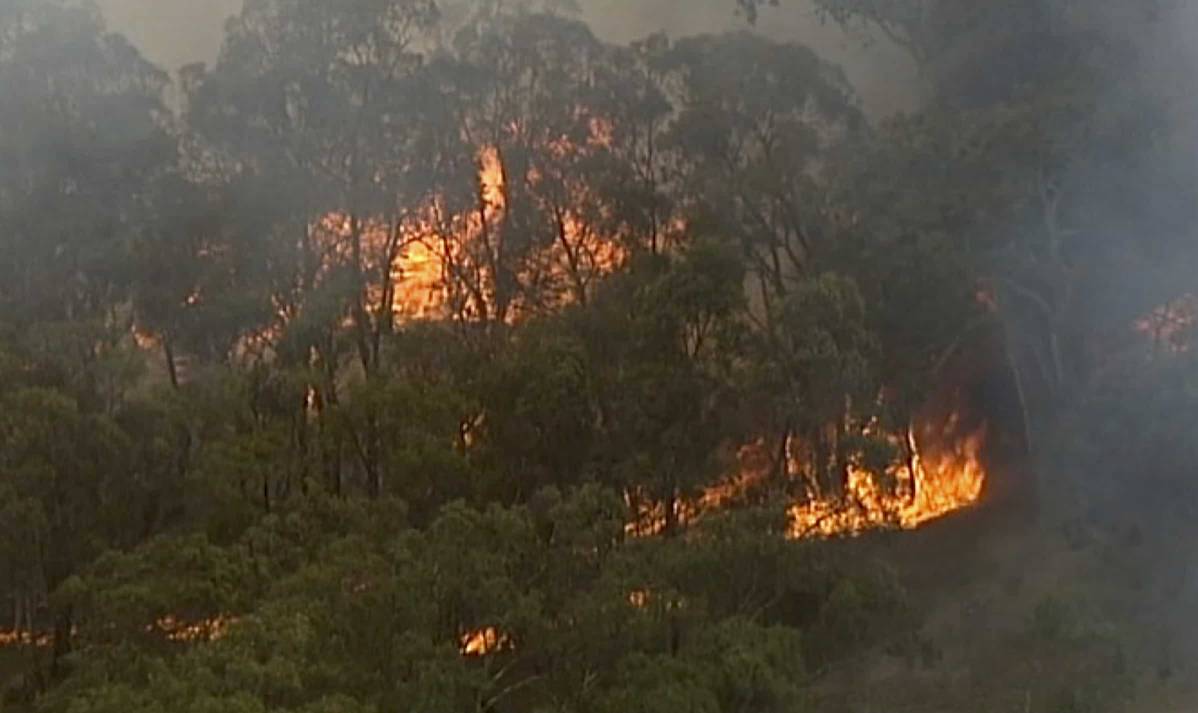 2010s hottest decade on record, with 2019 second hottest year