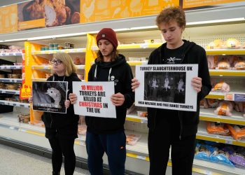 Credit; Direct Action Everywhere (DxE) of demonstrators holding a protest in the meat aisle in a branch of Sainsbury's in Brighton, East Sussex.