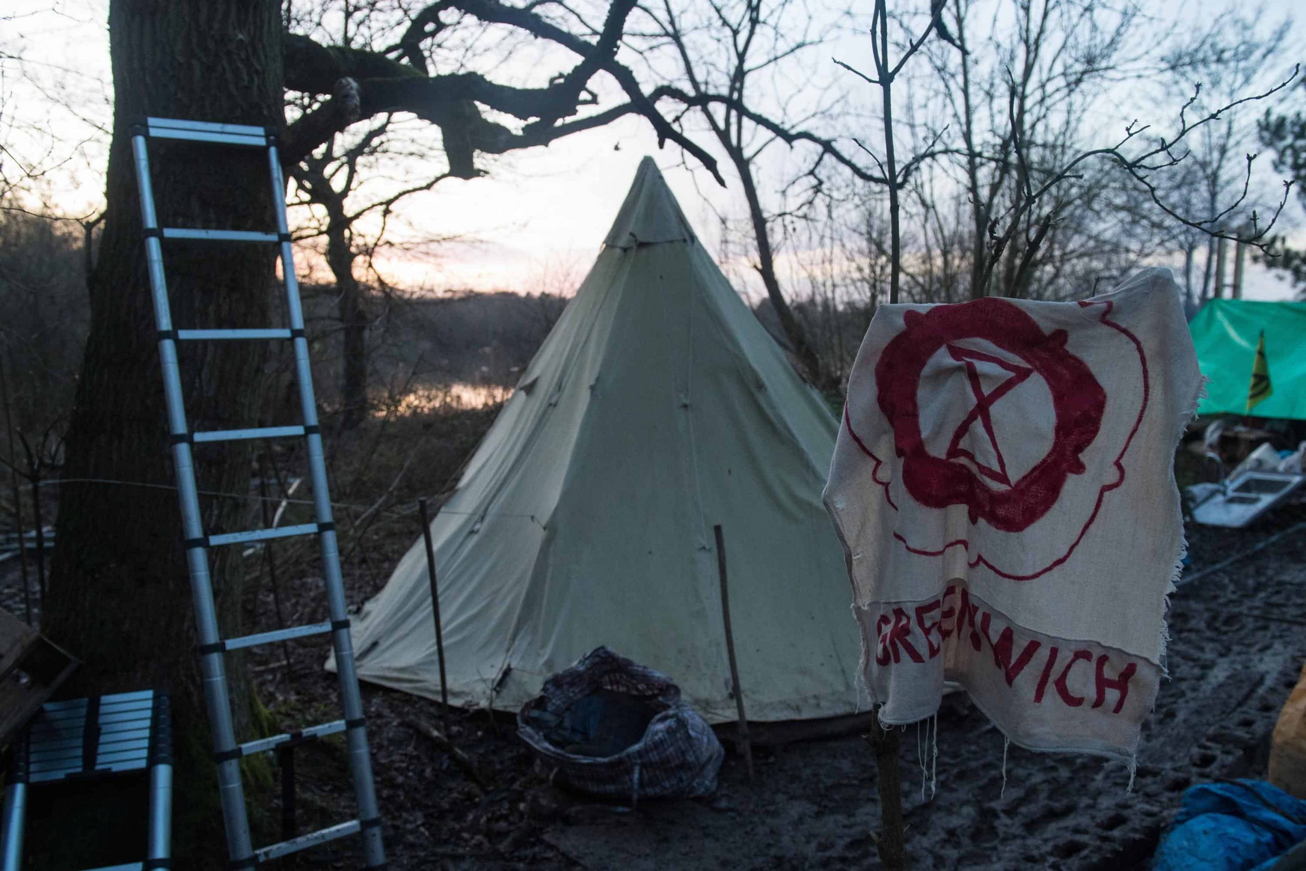 Protesters try to prevent HS2 tree felling