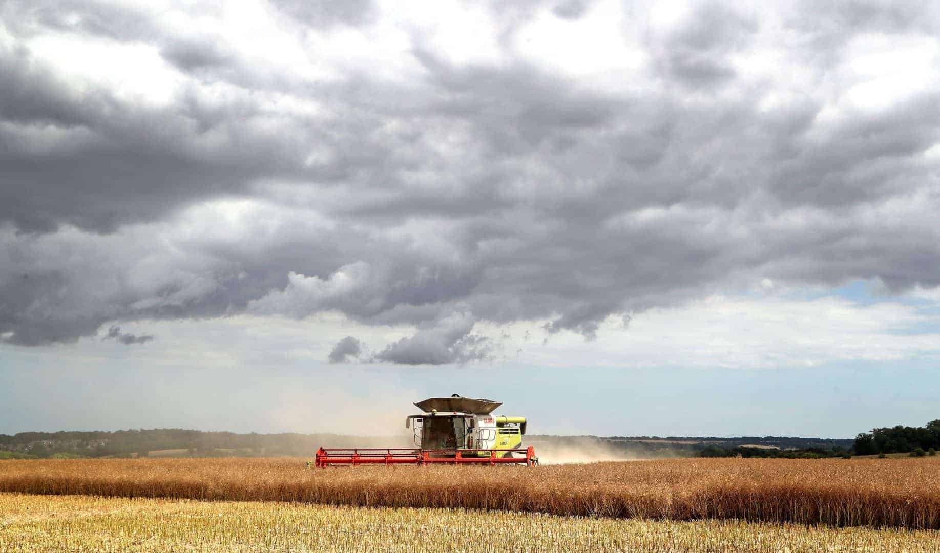 Farming leader issues warning over ‘morally bankrupt’ food trade deals