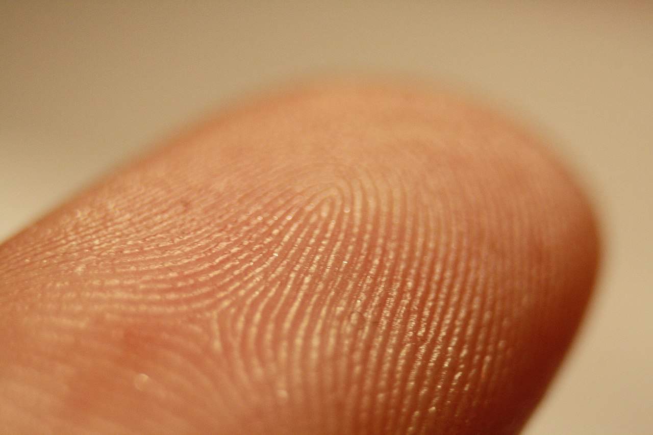 Fingerprint request saw ‘police amputate and send criminal’s hands to UK’