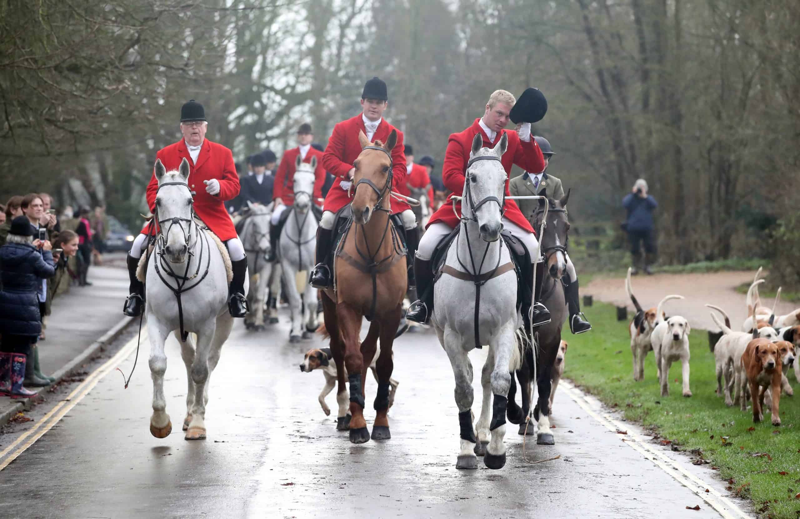 Tory council hands £50k of Covid-19 bailouts to fox hunting groups