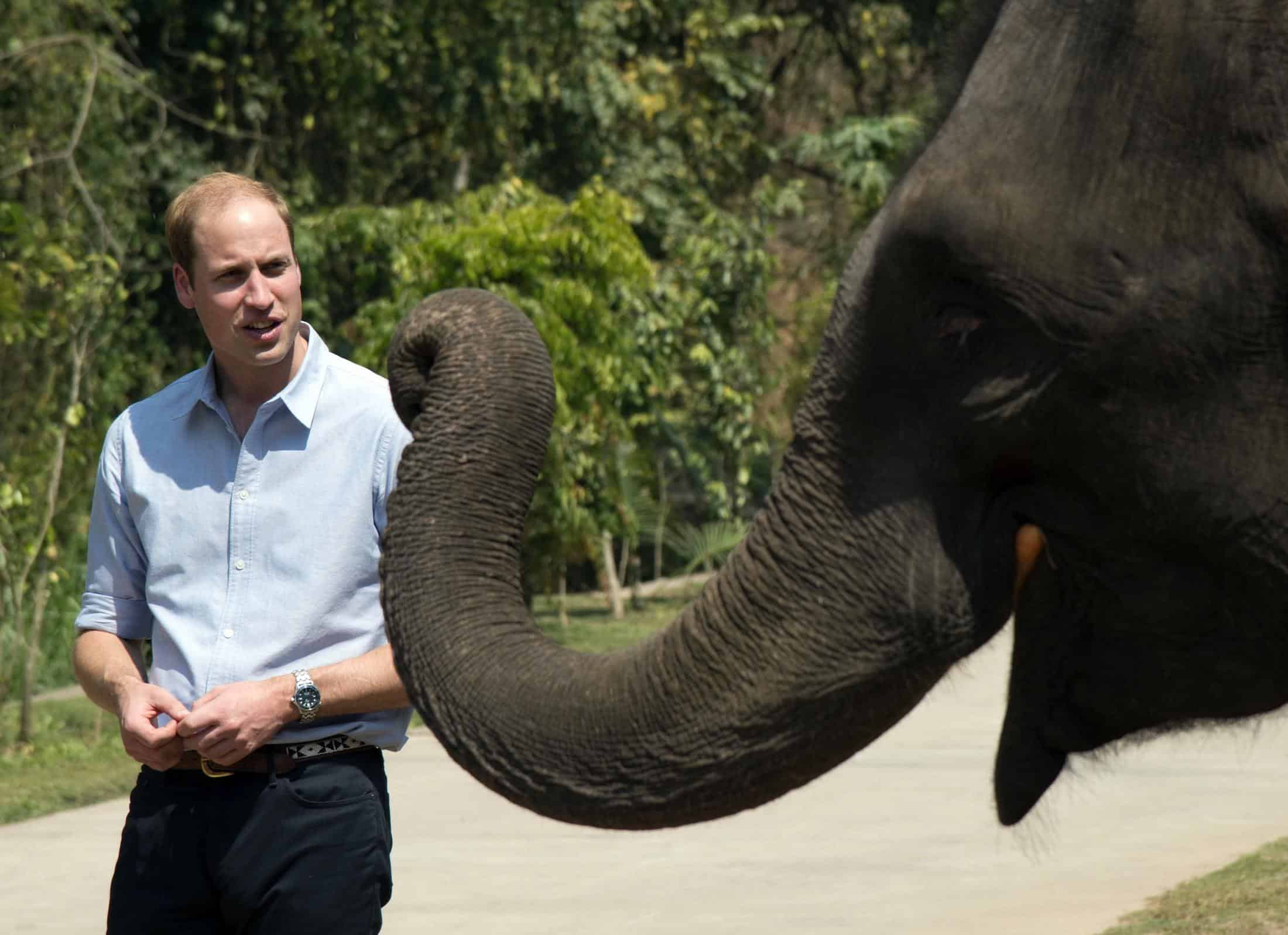 Prince William says being dad spurred him to protect natural world but took son on Grouse shoot