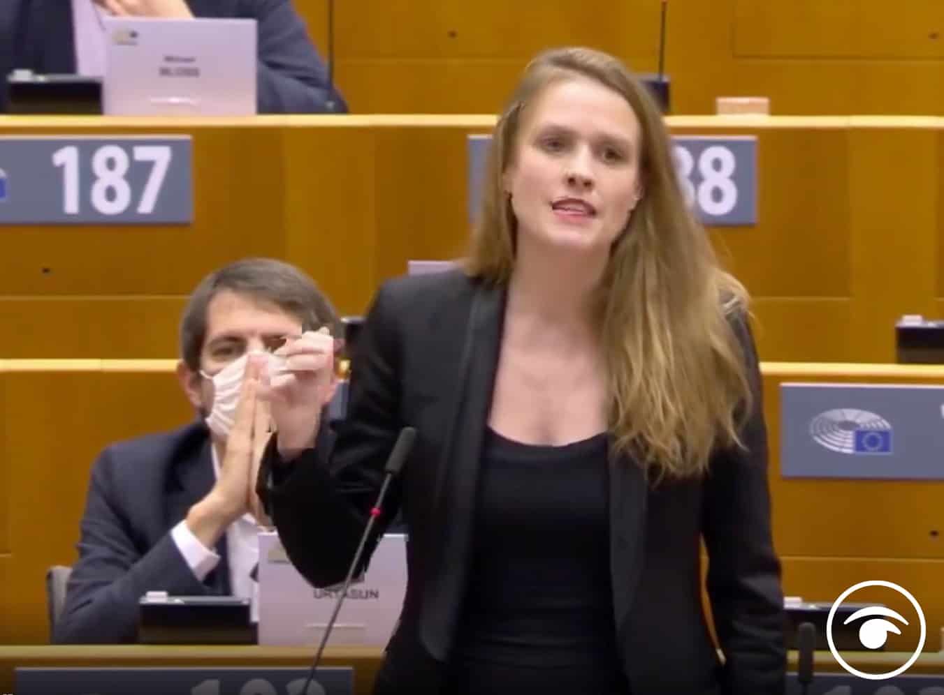 German MEP tells PM to “stop blaming others for your own actions” and “take responsibility” for Brexit