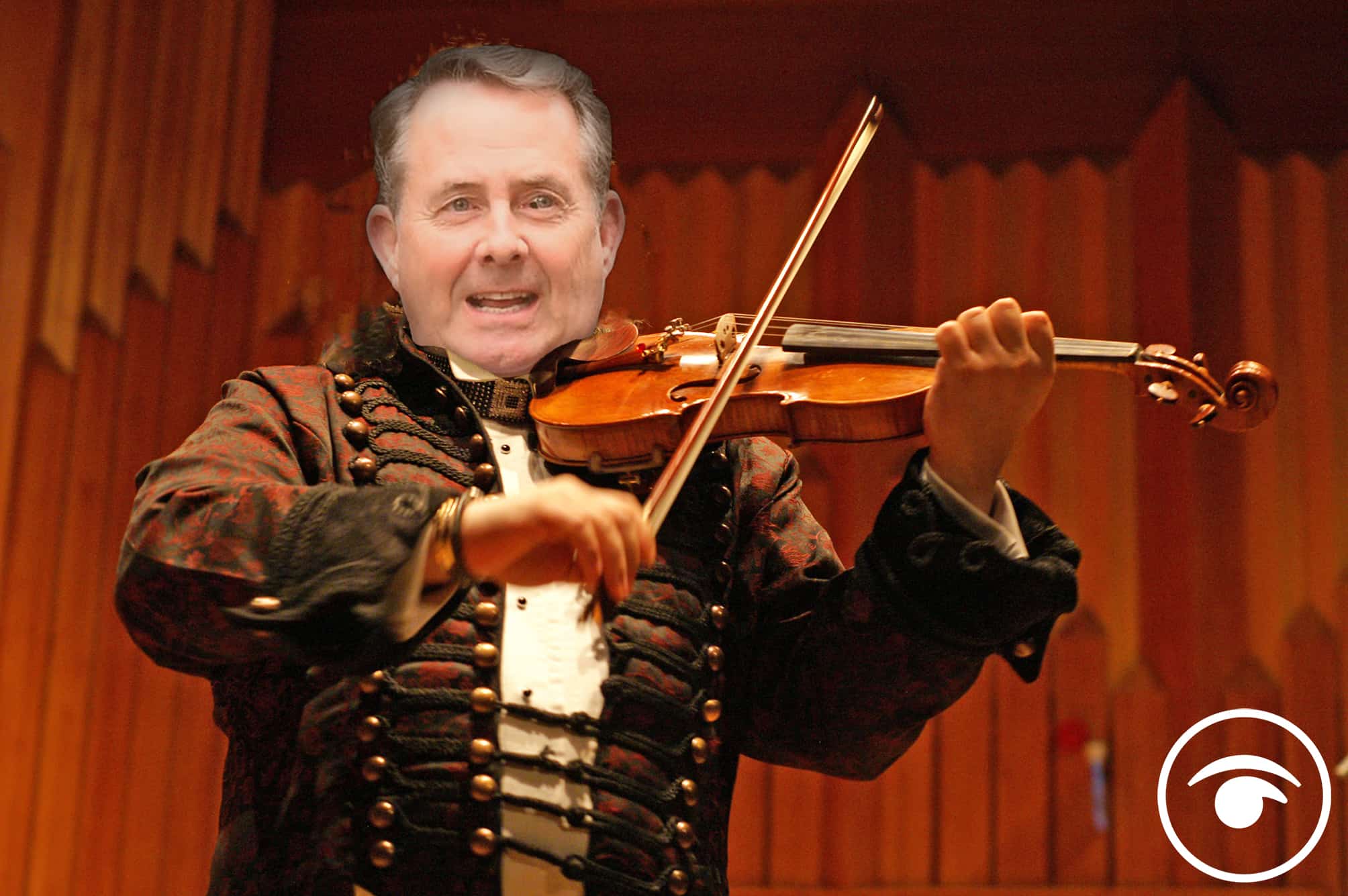 ‘Maybe he should retrain to be a musician?’ Liam Fox misses out on WTO job