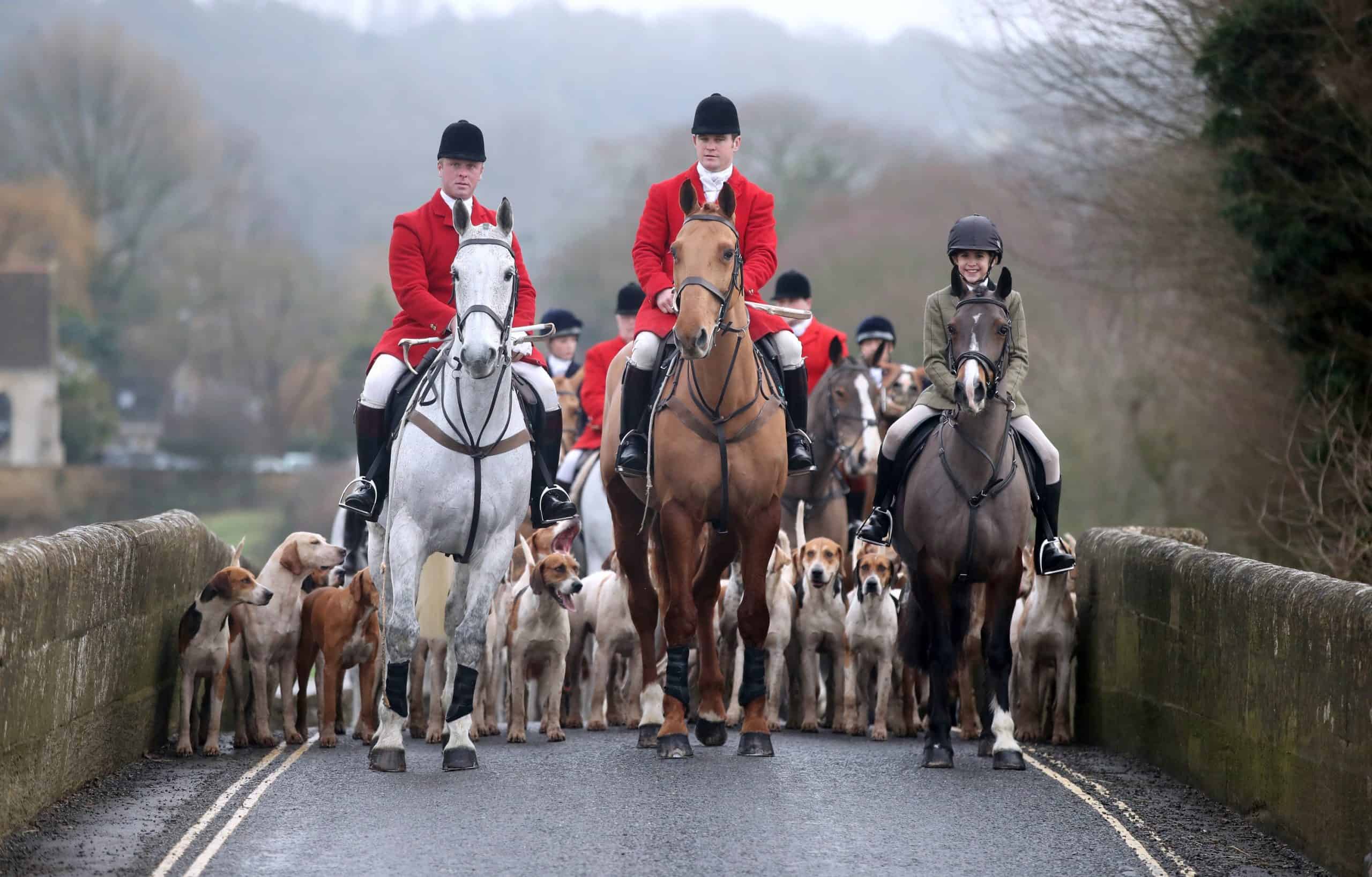 Finally some good news? Covid-19 claims another victim as Boxing Day hunts cancelled