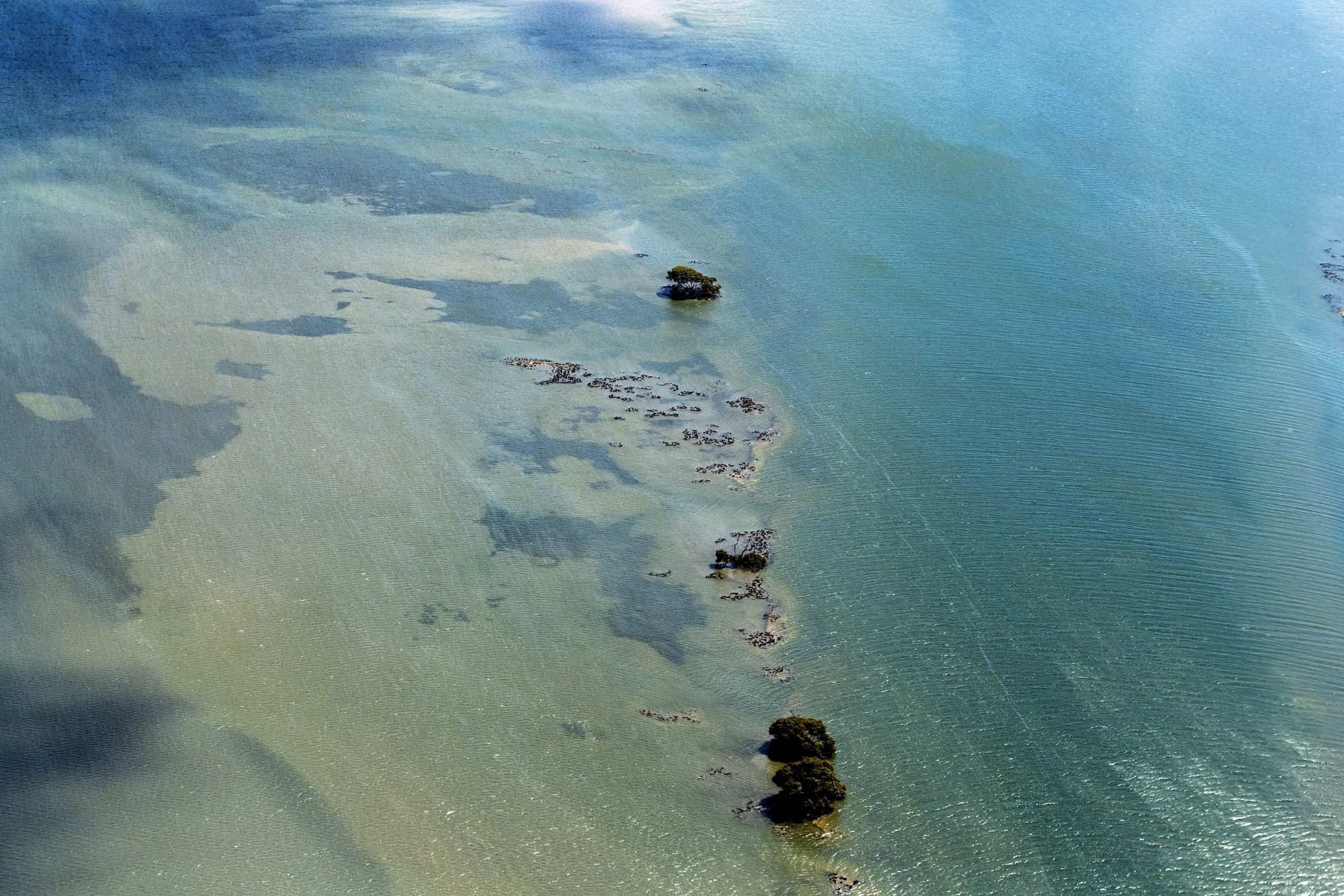 Great Barrier Reef ‘critical’ as climate change hits huge number of natural World Heritage Sites