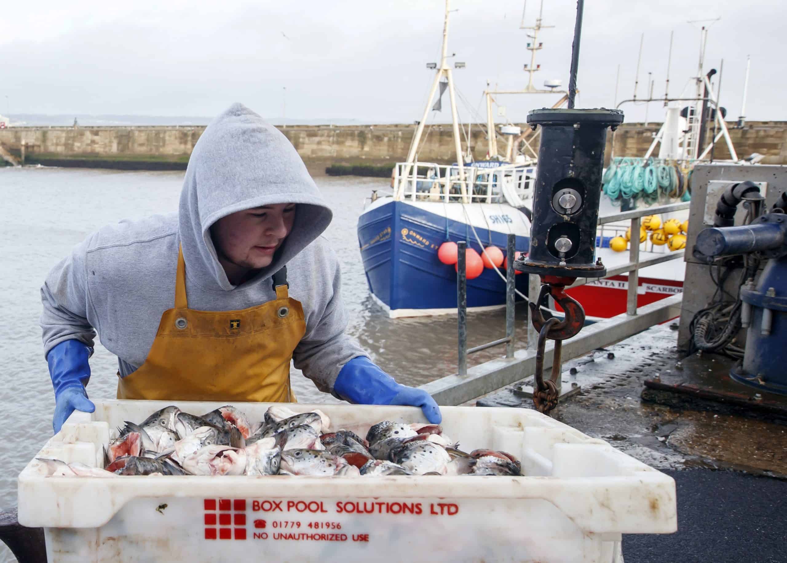 Gove claims Brexit is good for fishermen after Boris accused of ‘caving in’