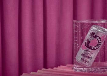 Dalston's Hard Seltzer Rhubarb