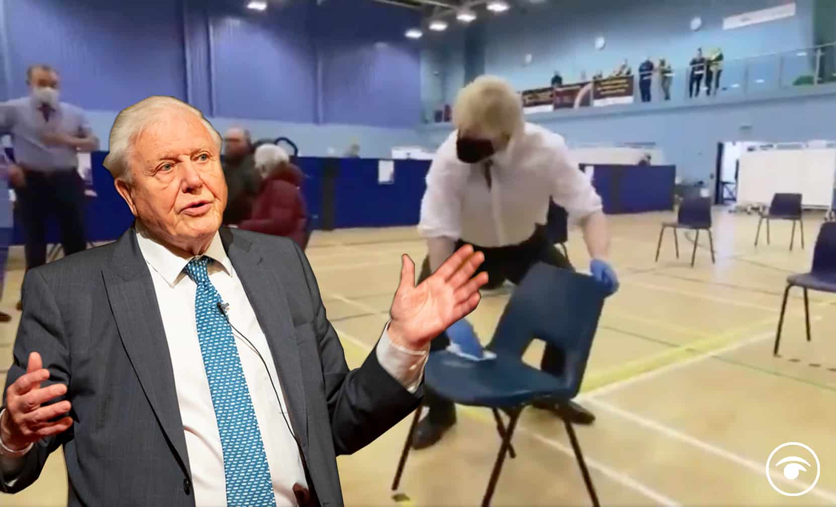 David Attenborough narrated video of Johnson cleaning a chair goes viral