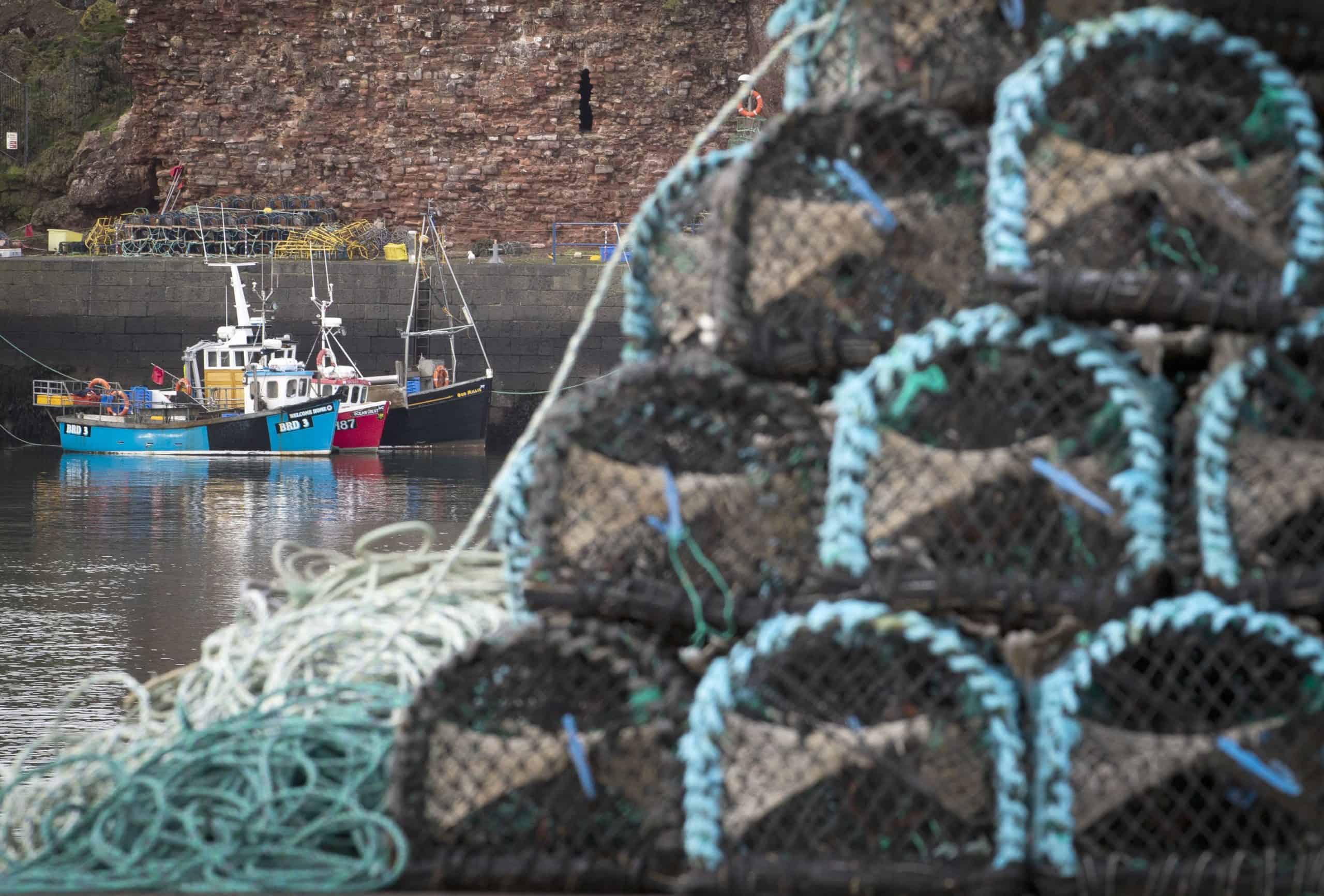 Brexit: Barriers to shellfish exports as seafood could be rebranded to appeal to UK diners