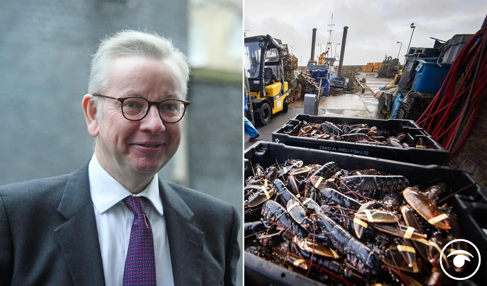 Really? We will do whatever is required to protect fishermen post-Brexit, claims Gove