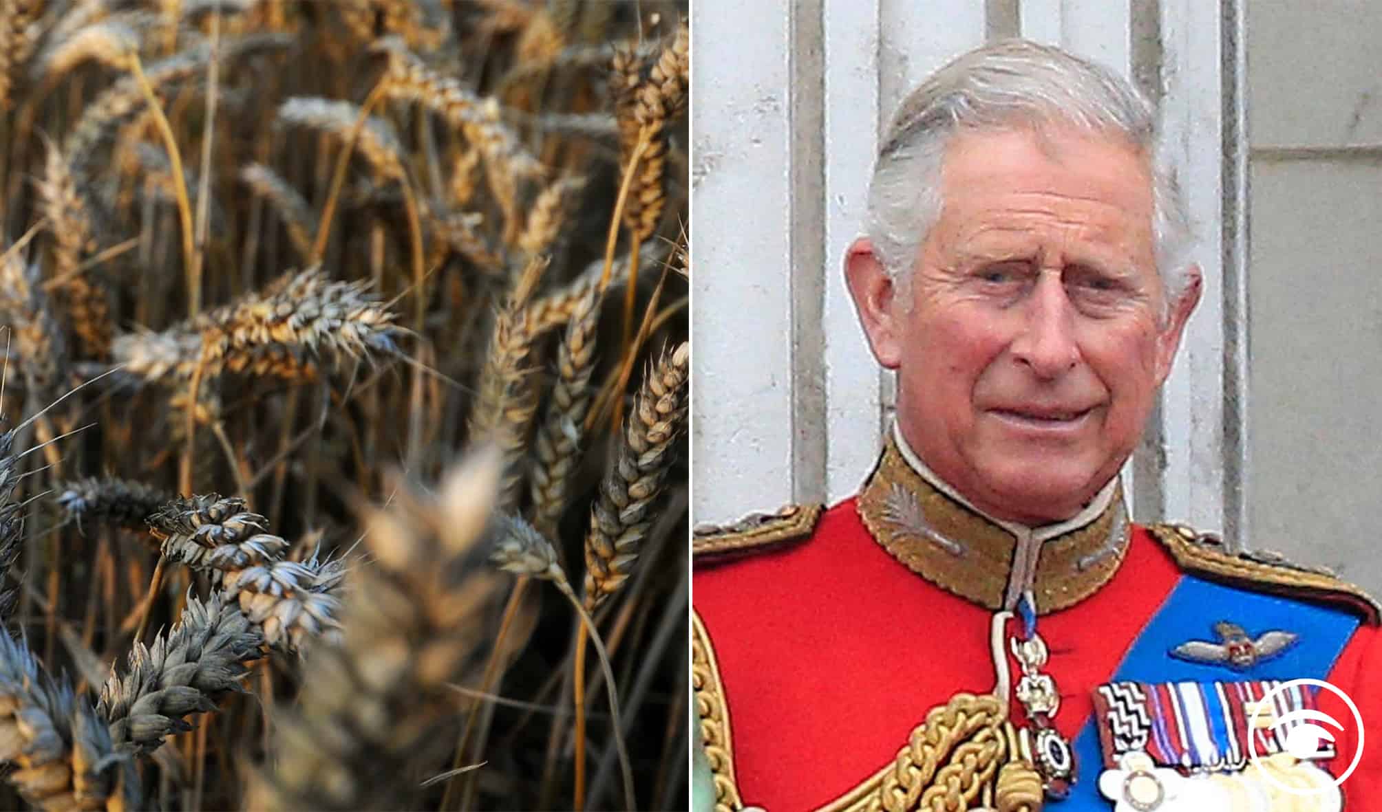 Prince Charles – with a private estate worth over £1bn – says small family farms are the future