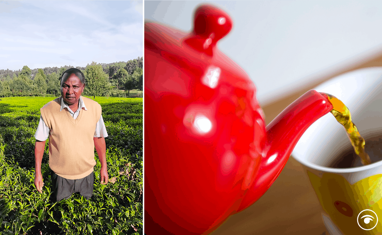 Trouble brewing for British cuppa as climate change threatens tea production