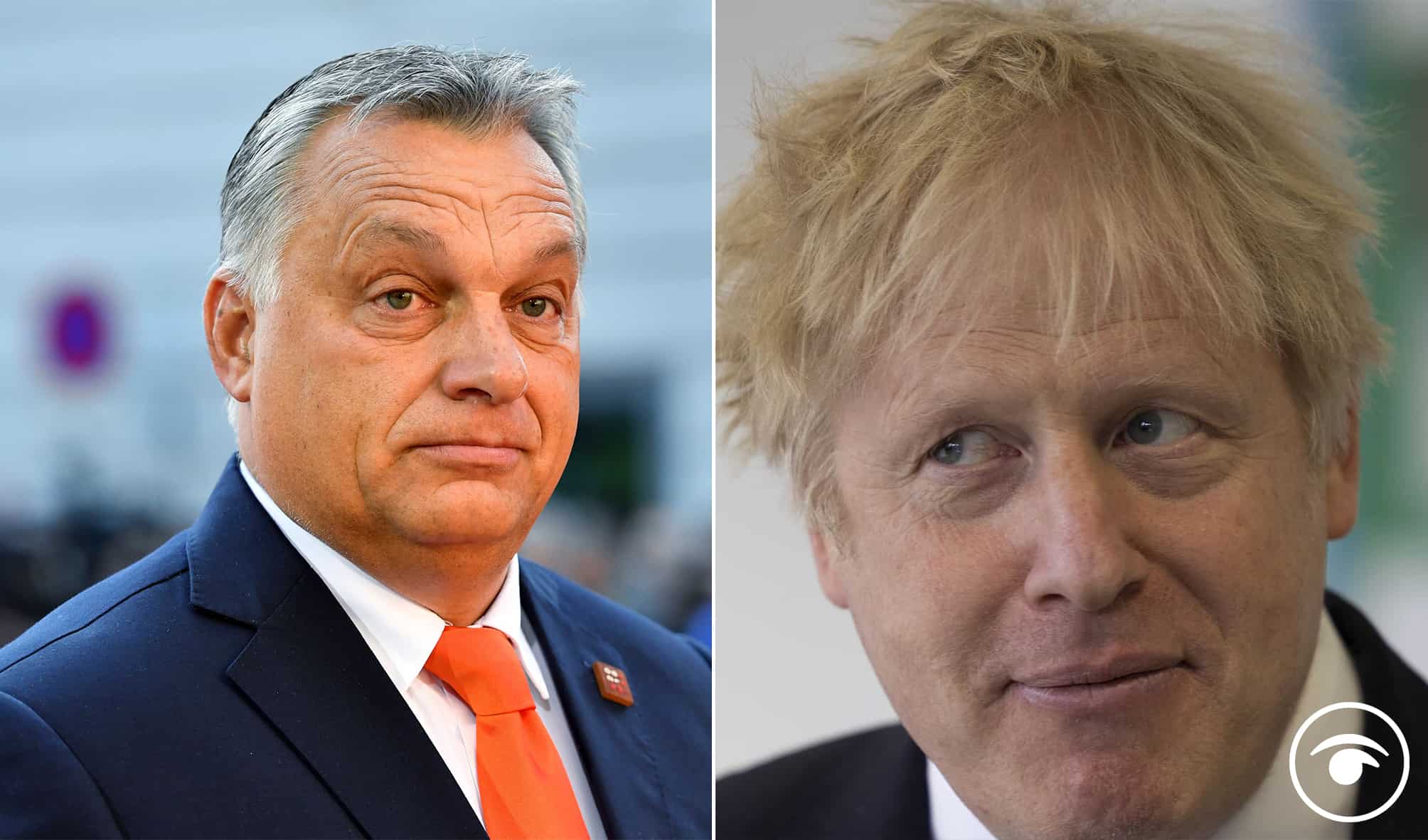 MP writes to PM and lists 7 main reasons not to meet Viktor Orban