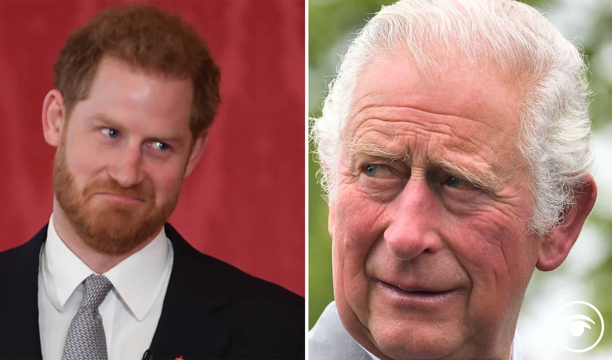 Prince Harry to publish memoir and the usual suspects aren’t happy about it