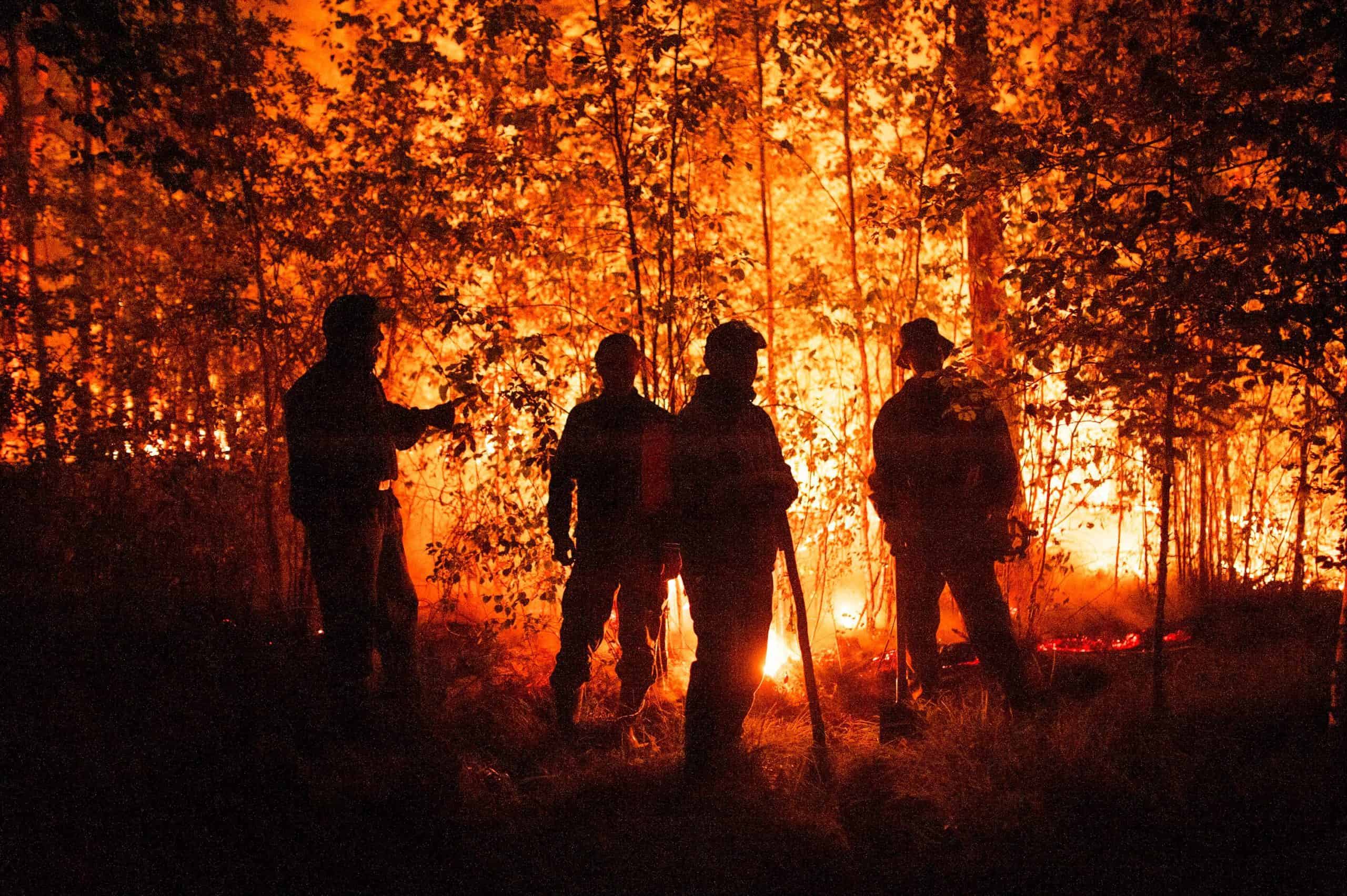 Austerity will doom UK efforts to fight climate change, expert warns