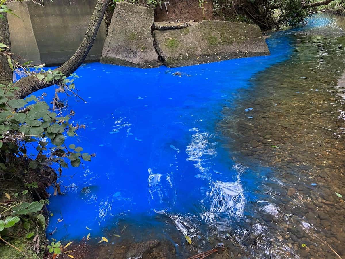 ‘Outraged’: River turned smurf blue due to alleged chemical dumping amid claims EA has ignored complaints