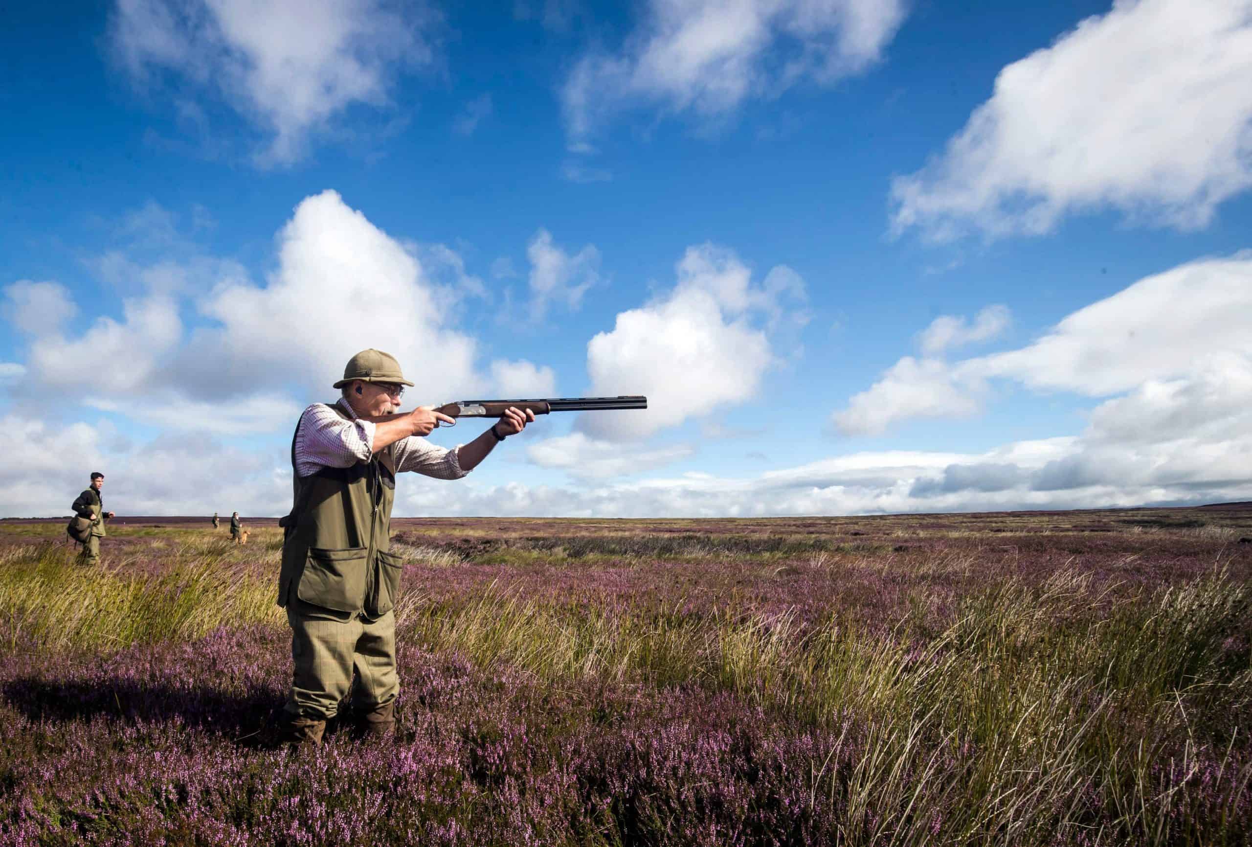 Protected moorland twice the size of Greater London devoted to raising grouse…so people can shoot them