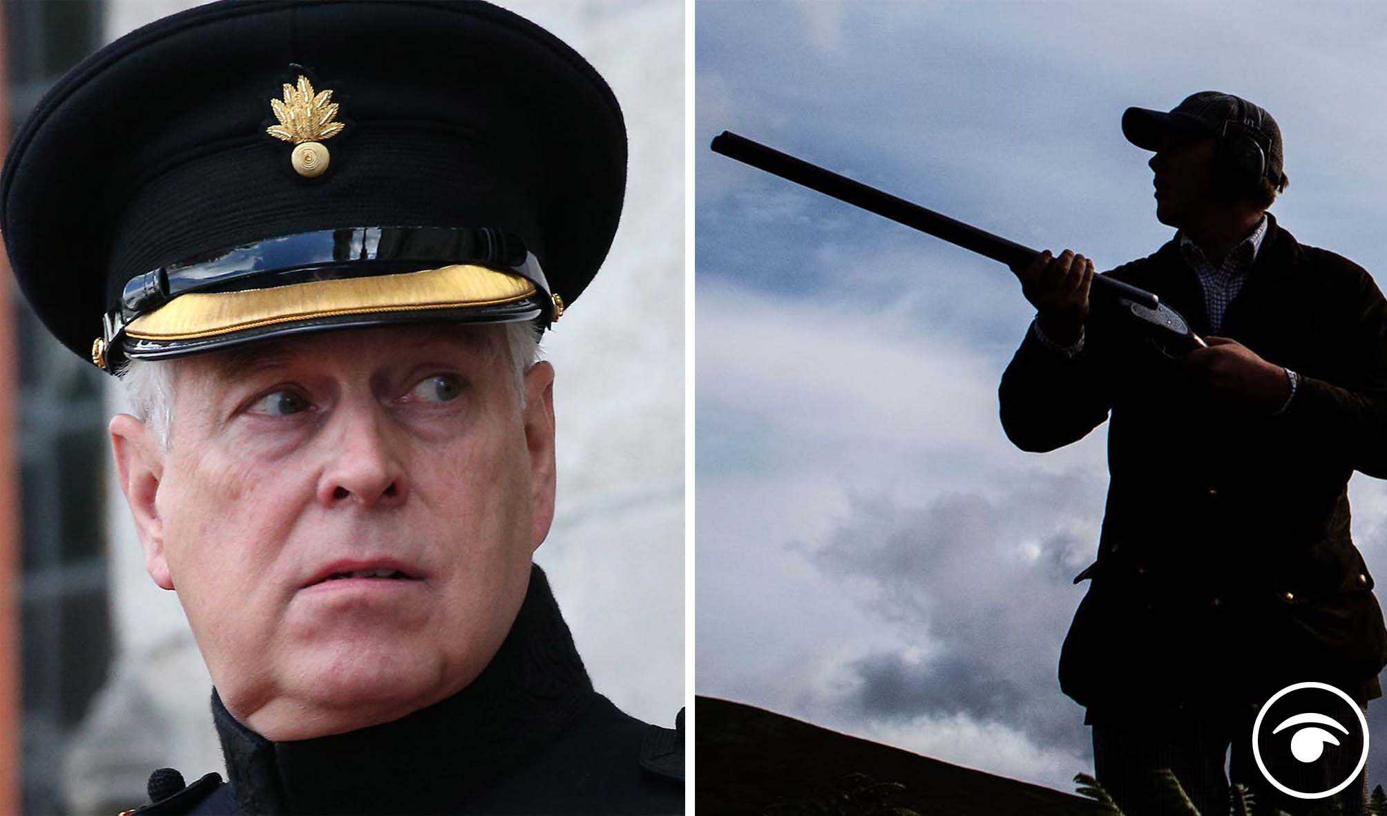 Straightforward shooting weekend? Prince Andrew kills birds days before sexual assault court hearing